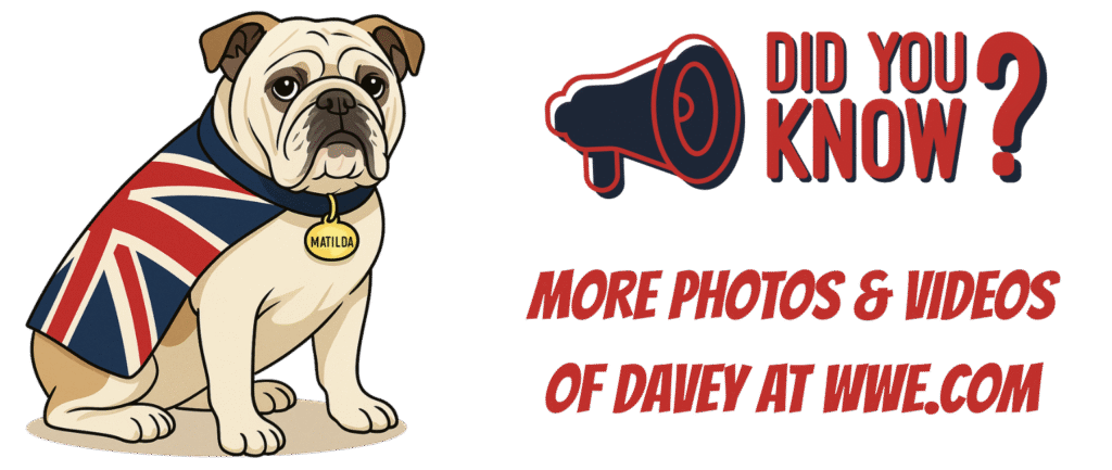 did you know? bulldog photos